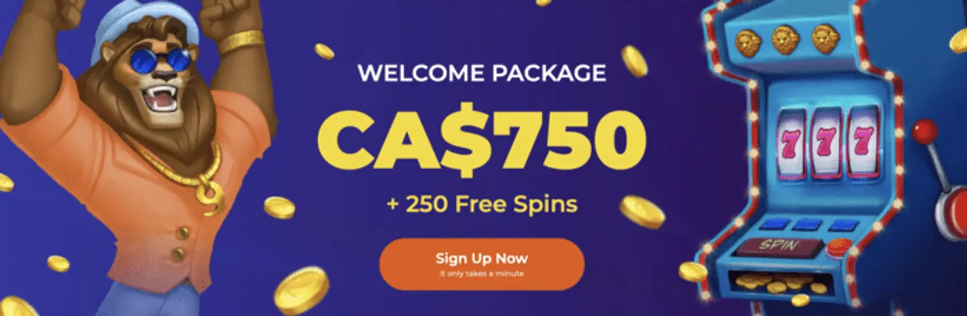 App bets bola