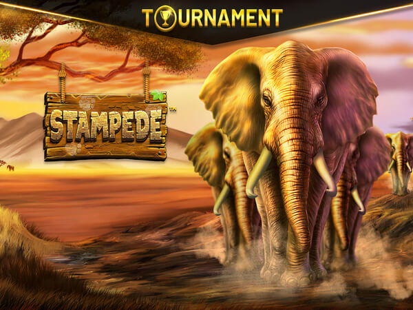 Paradisewin.com